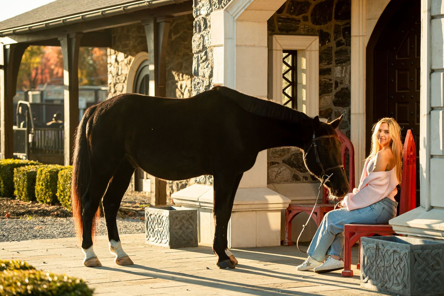 A black horse visits the front porch of a house during an autumn afternoon.