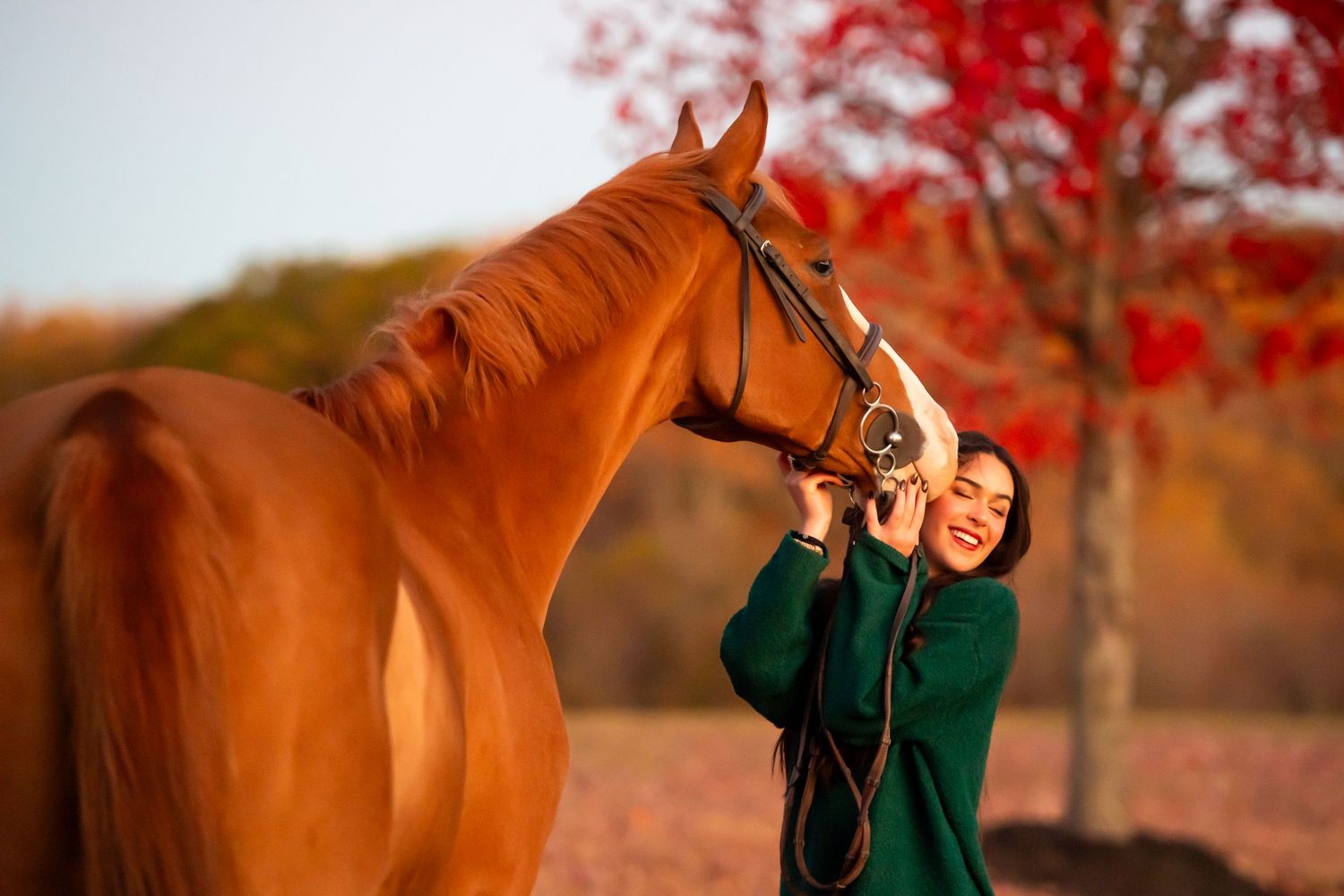 Beautiful chestnut horse with person in green sweater against vibrant red fall foliage.