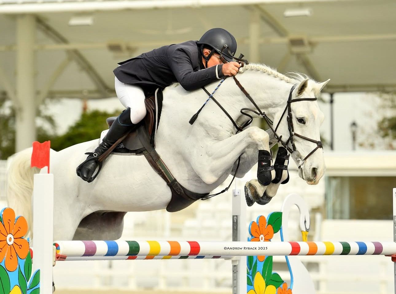 White horse and rider clearing colorful poles during indoor show jumping event.