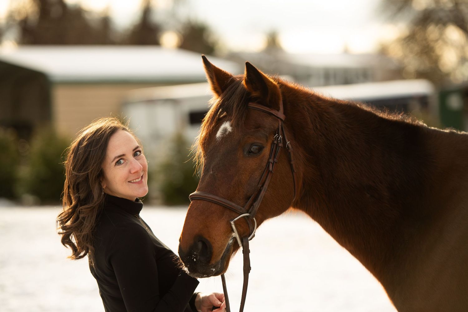 Sweet winter portrait of bay horse and companion in soft lighting.