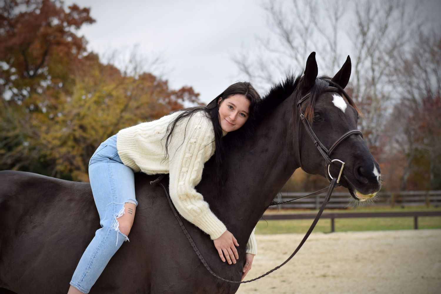 A relaxed moment with a dark horse in an autumn paddock setting.