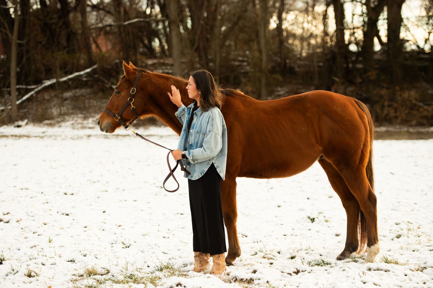 A chestnut horse stands with someone in a denim jacket on snowy ground.