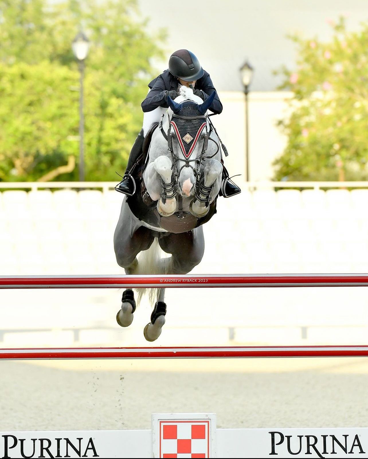 Gray horse and rider clearing red poles during show jumping competition sponsored by Purina.