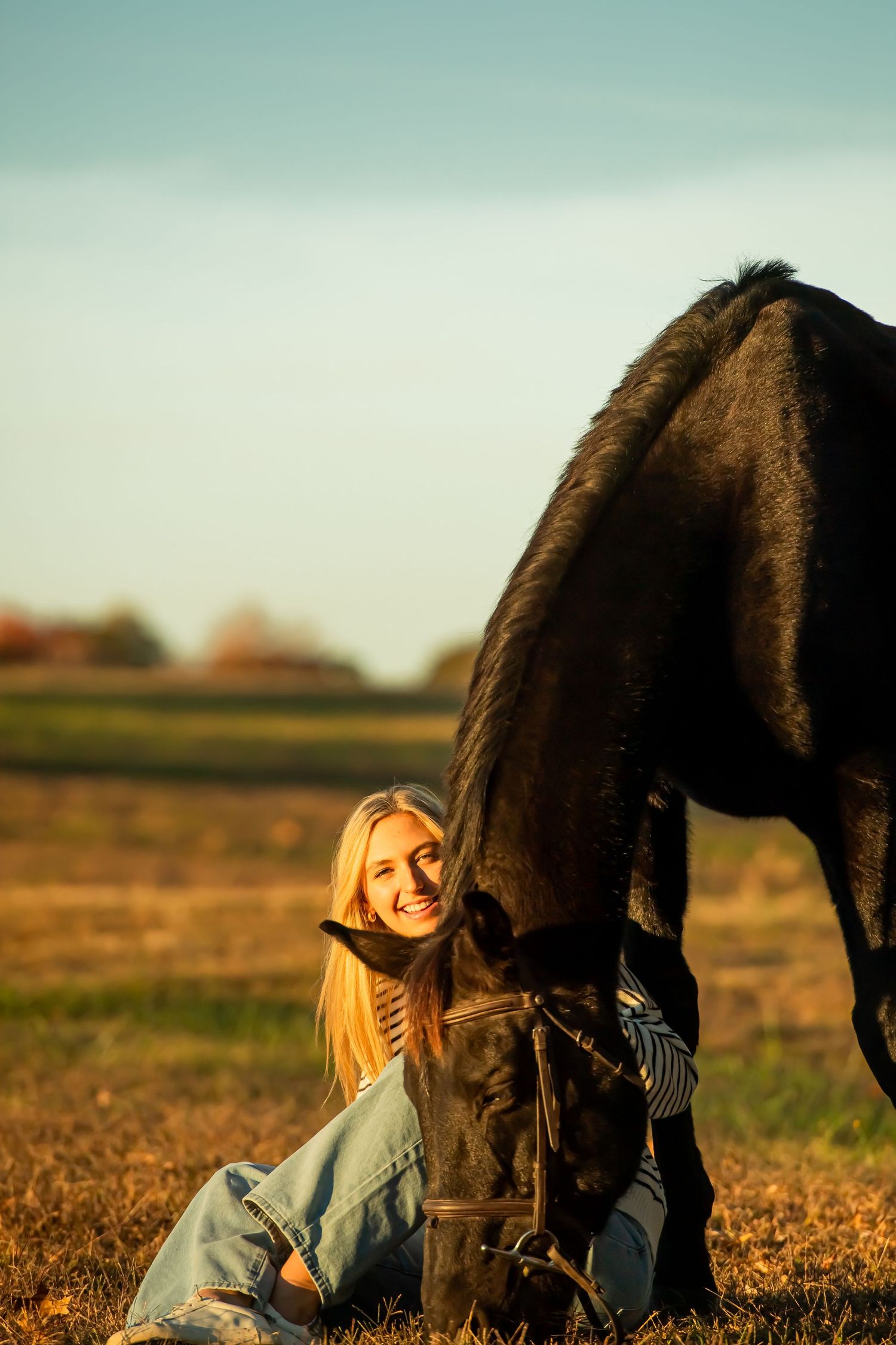 Close interaction between dark horse and companion in autumn field at sunset.