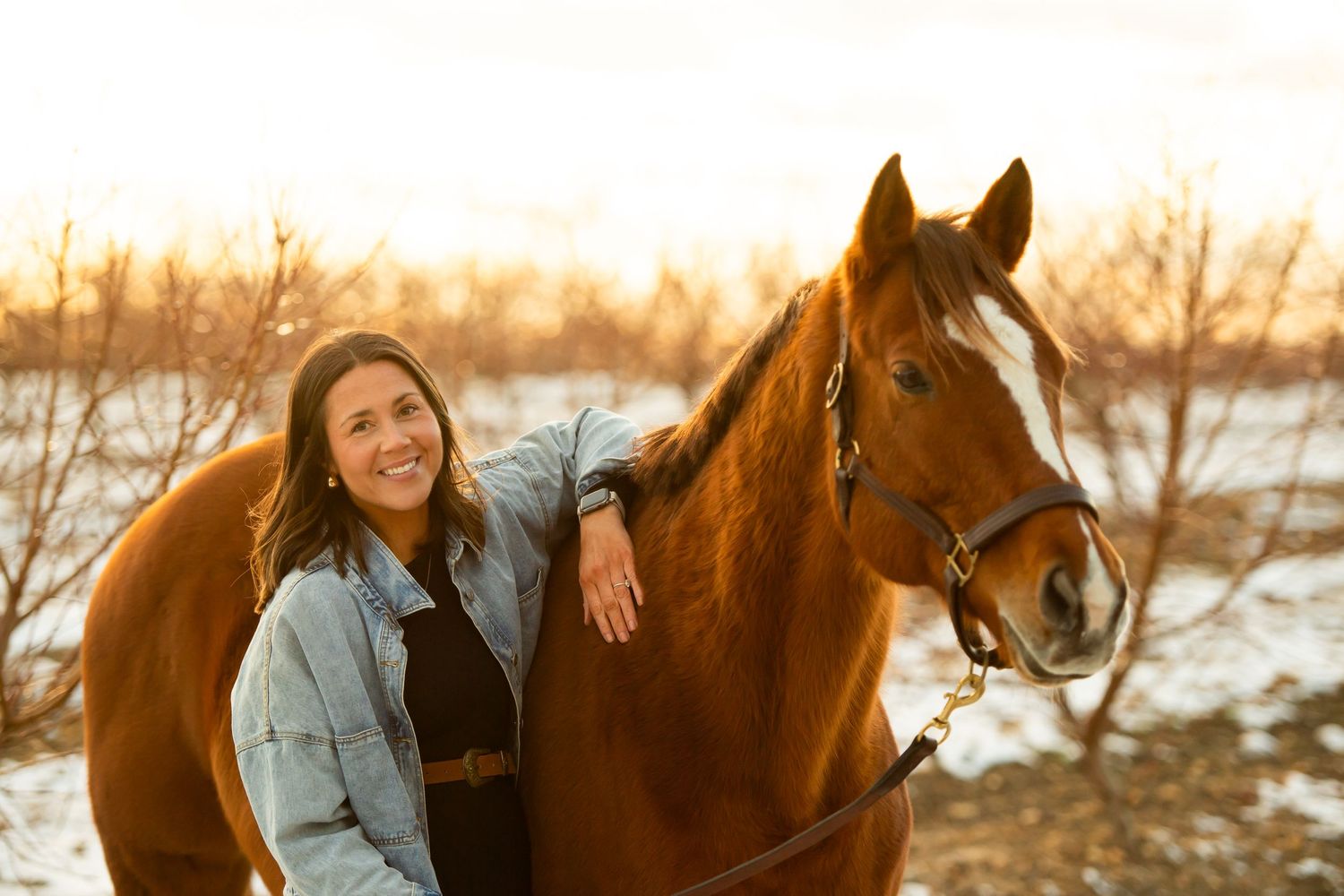 A chestnut horse and someone share a warm moment at sunset in the snow.