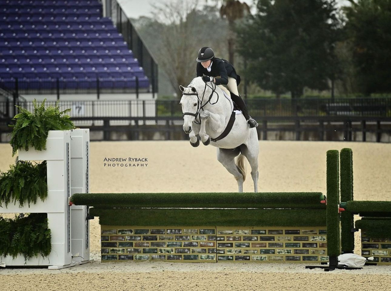 A white horse and rider clearing a jump over a brick wall in an equestrian arena.