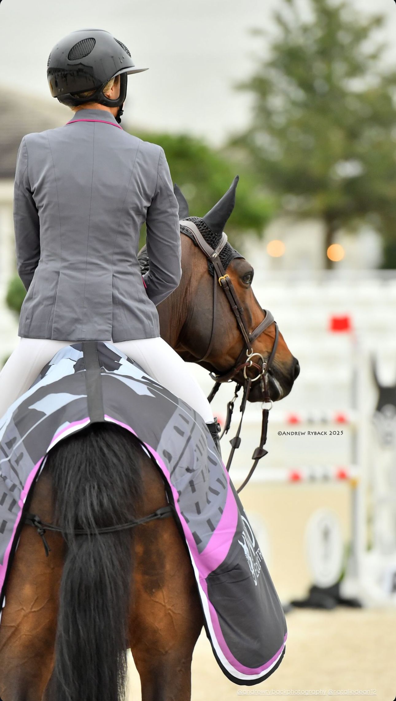 Competitive equestrian rider on brown horse preparing for show jumping event.