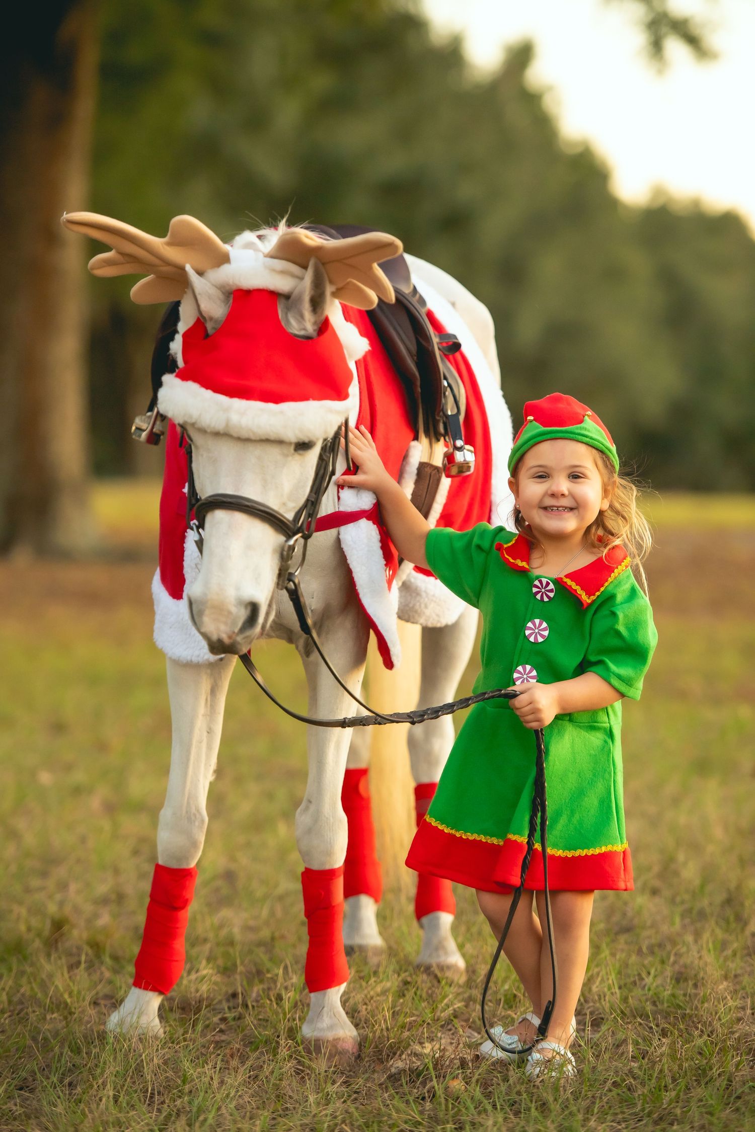 Horse dressed as reindeer with santa hat poses with child in elf costume.
