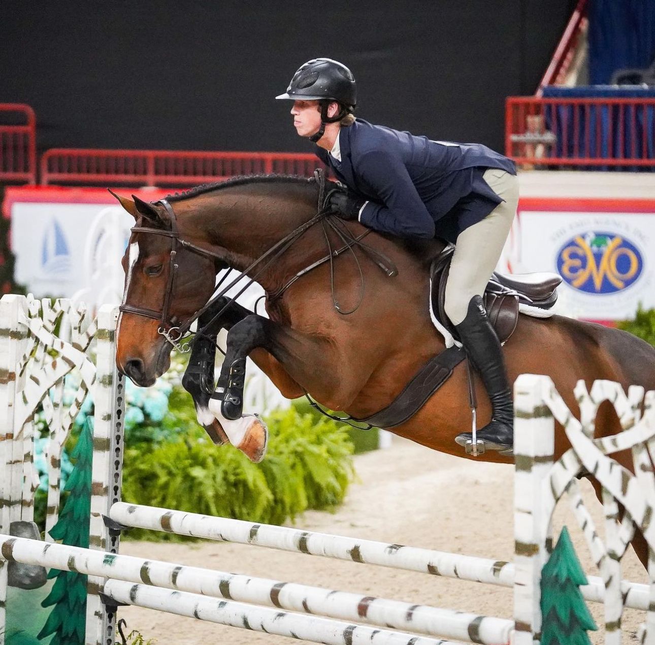 Horse and rider clearing white poles during indoor show jumping competition.