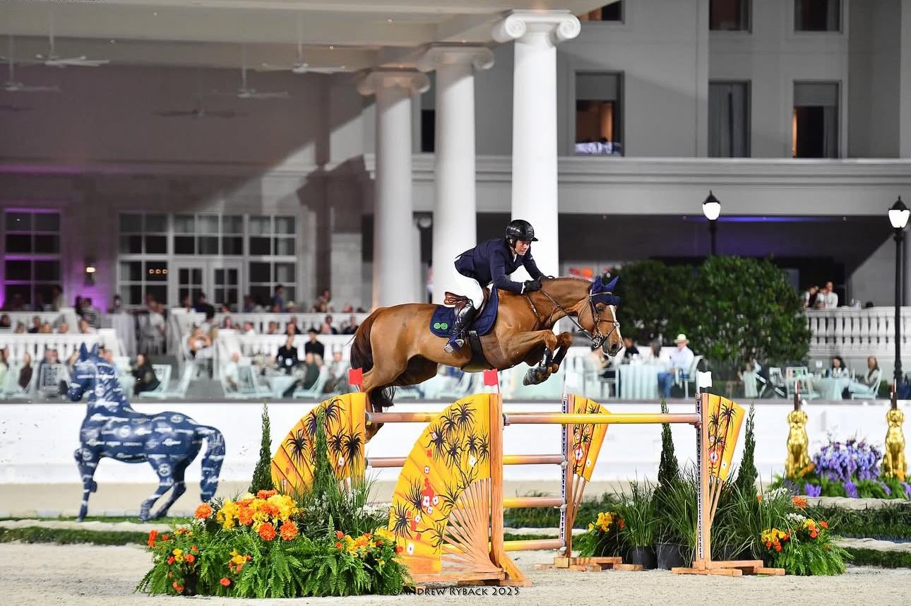 Show jumping horse and rider clearing colorful floral jump obstacles at elegant outdoor competition venue.