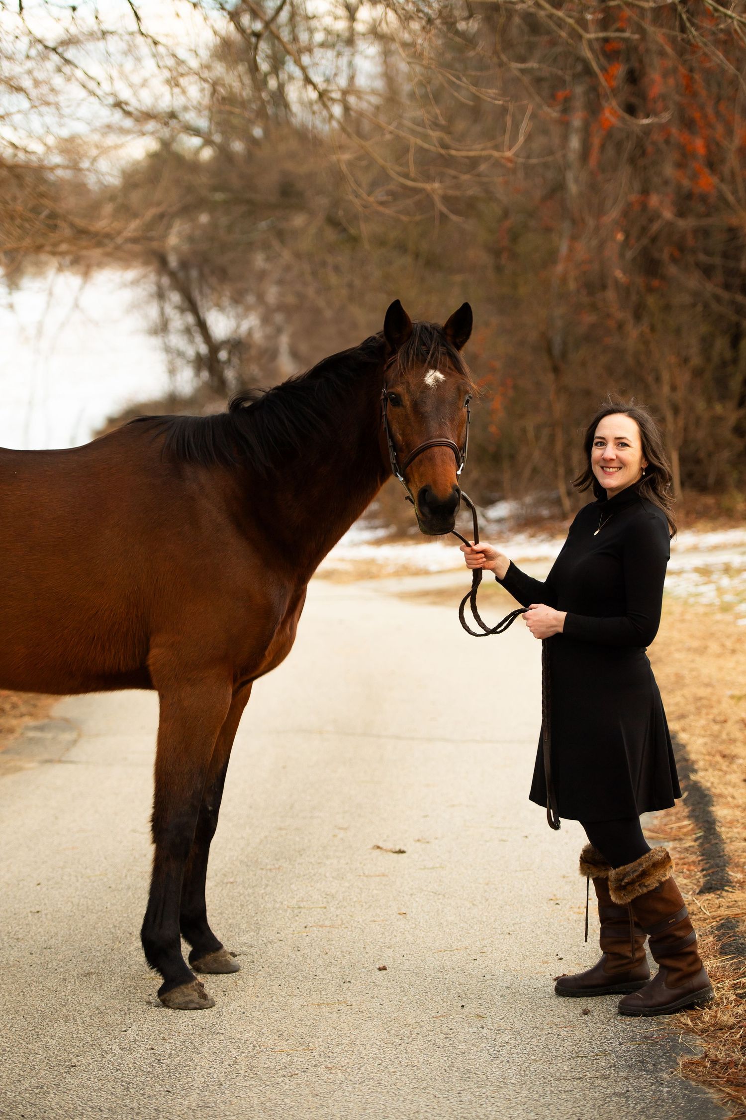 Bay horse and rider share a winter moment on snowy path with bare trees.