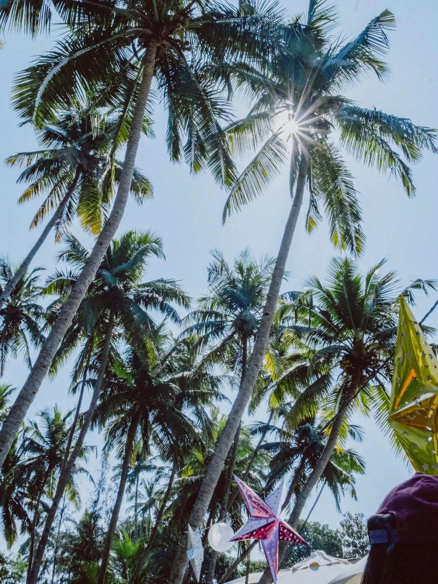 Tall tropical coconut palm trees against blue sky with sunburst and colorful star decoration.