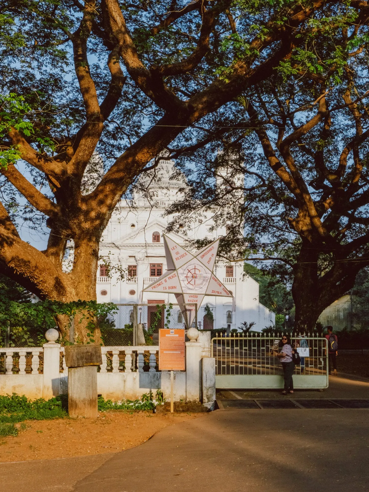 Historic white colonial church framed by large tropical trees along a quiet road in Goa, India.