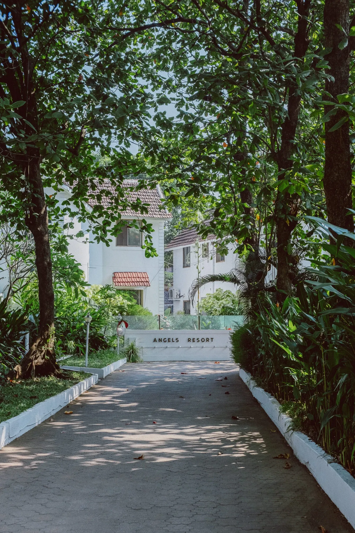 Tree-lined pathway leading to white Angels Resort building entrance sign in lush greenery.