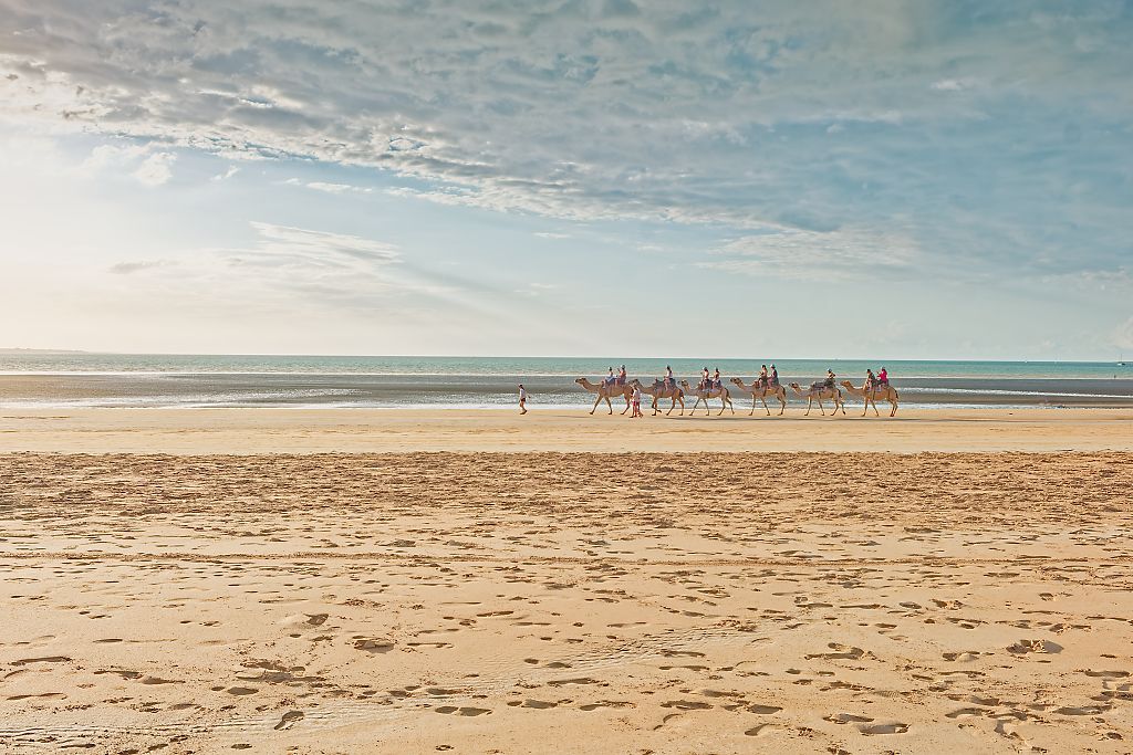 A caravan of camels walks along a wide sandy beach at sunset, with calm ocean waves and a soft cloudy sky in the background.