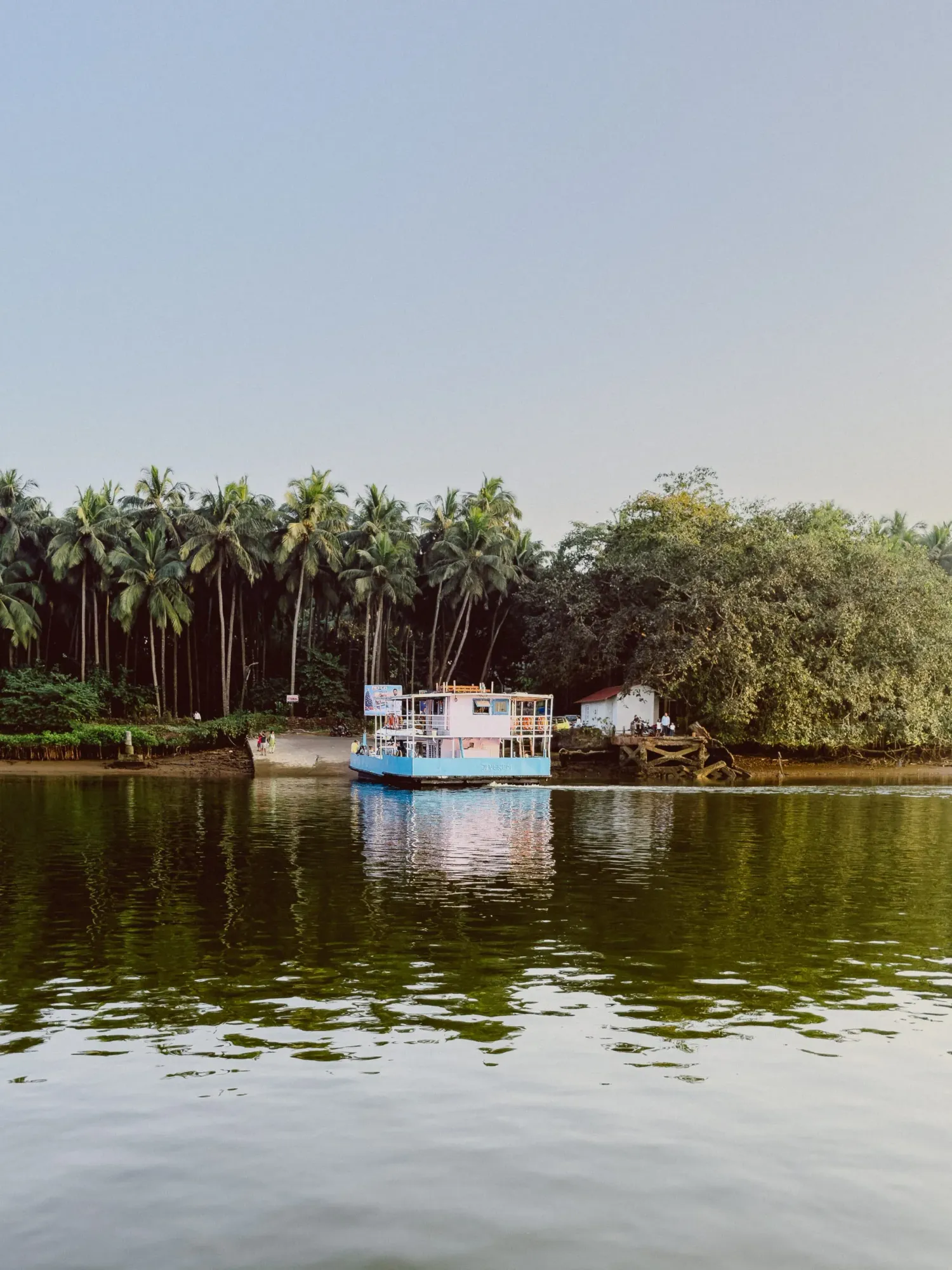Colorful houseboat moored near lush palm tree lined riverbank reflecting in calm green water.