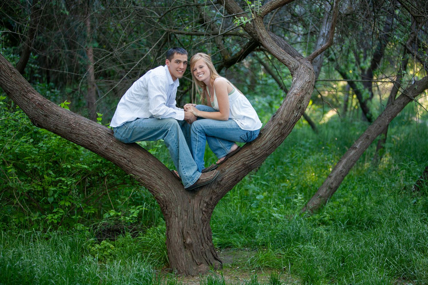 A happy couple sitting together in the fork of a large tree surrounded by lush green forest.