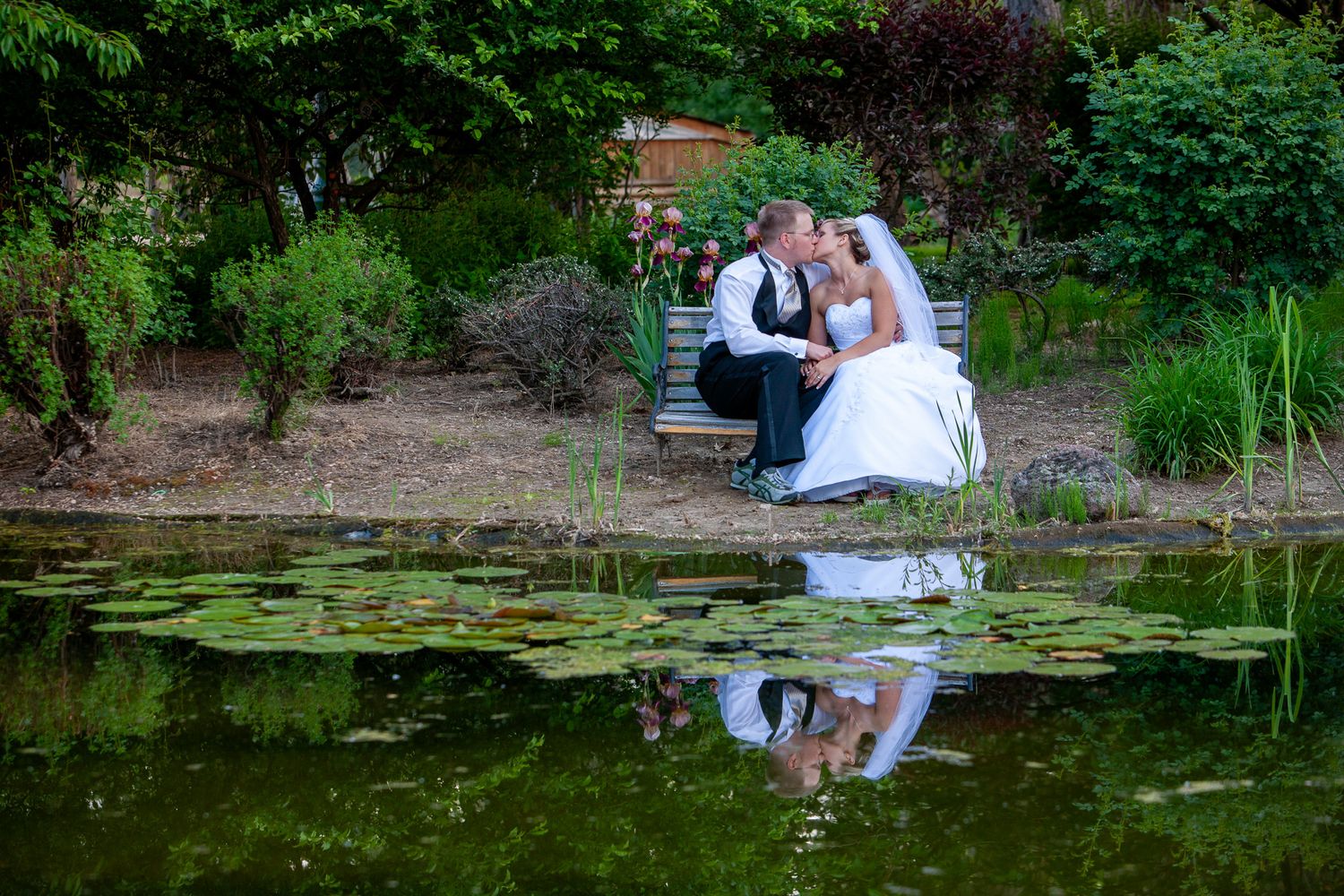 Bride and groom sharing a kiss on a bench beside a serene lily pond surrounded by lush green gardens.