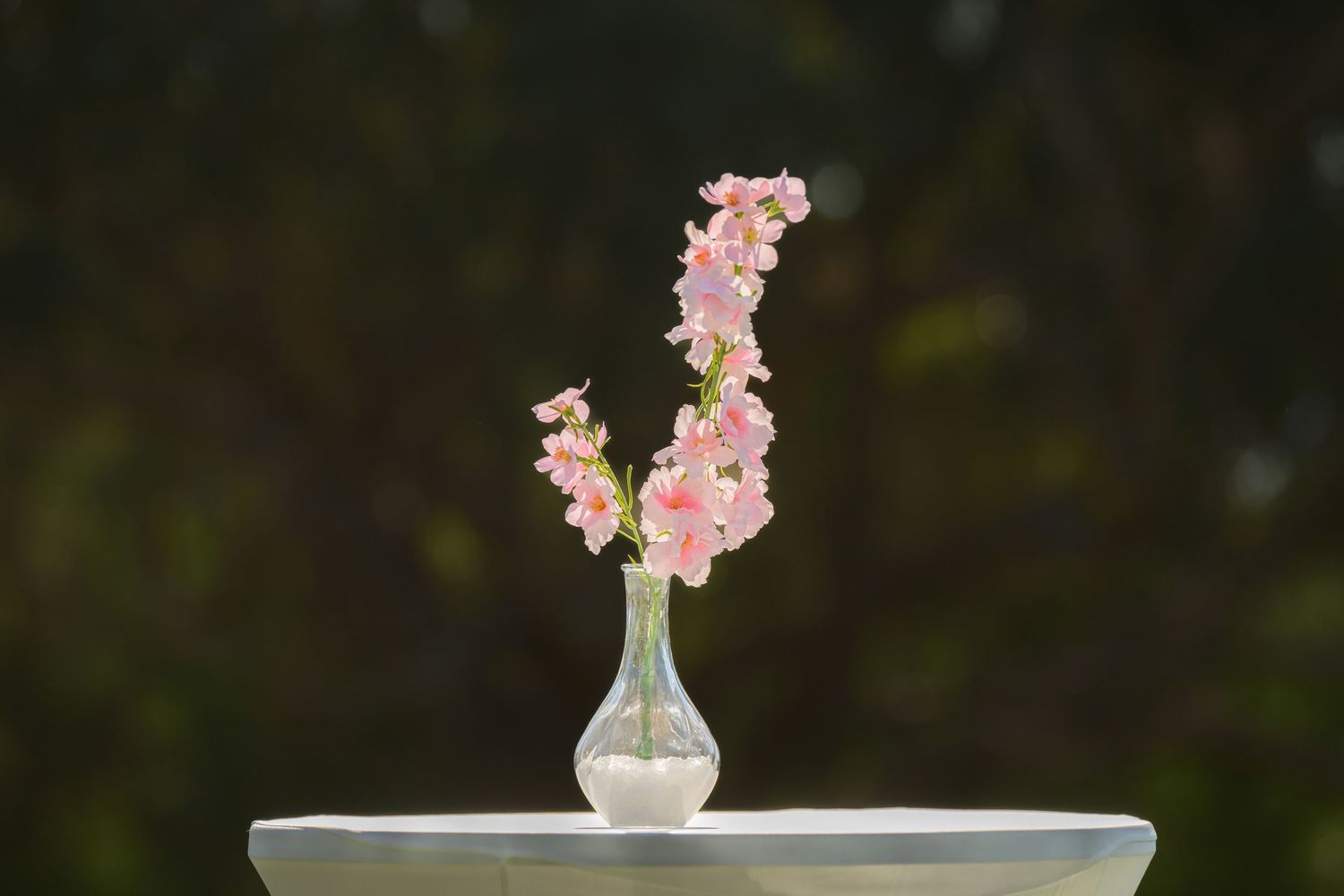 Wedding venue photographed with natural light, showcasing ceremony space and architectural details.