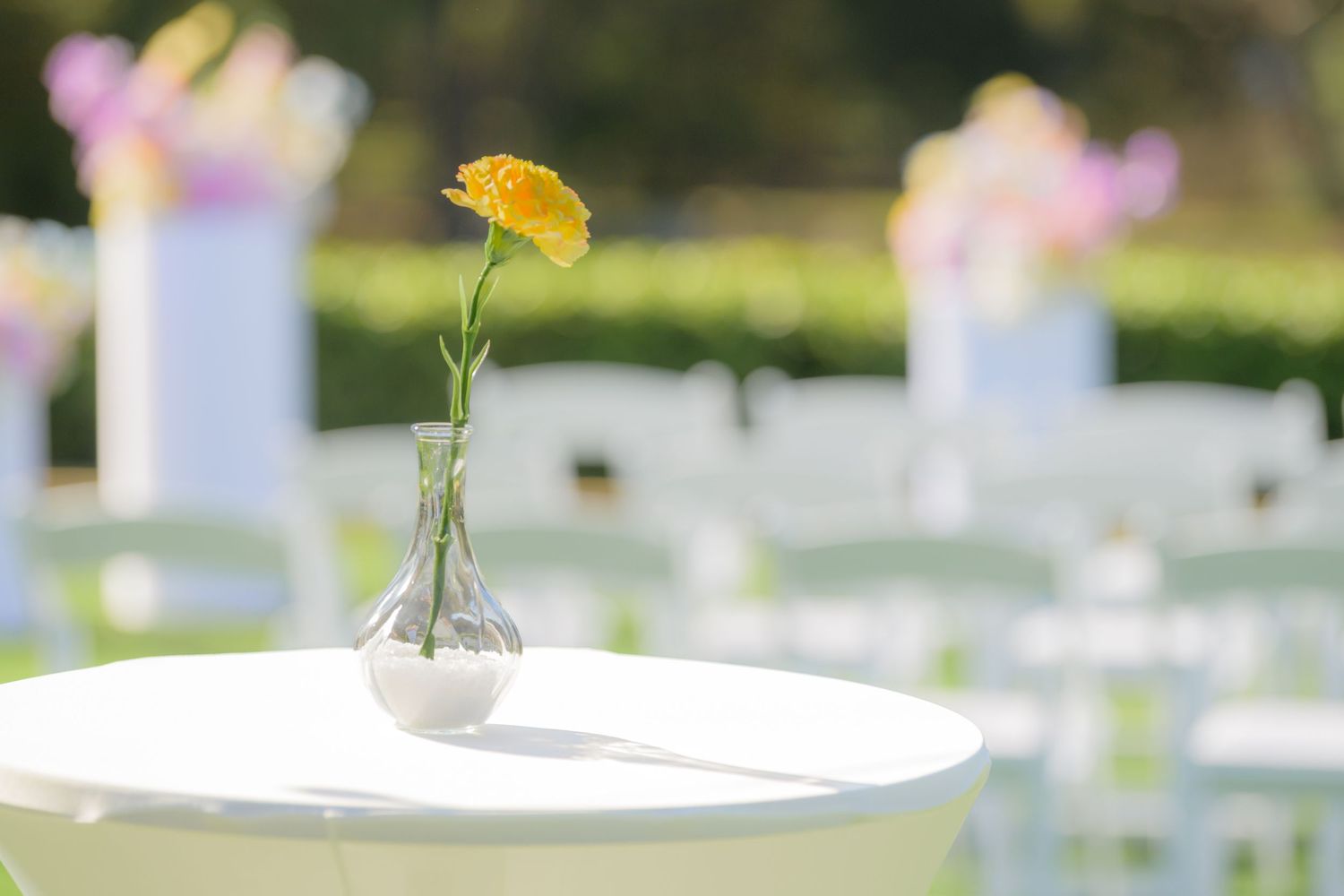Wedding venue photographed with natural light, showcasing ceremony space and architectural details.