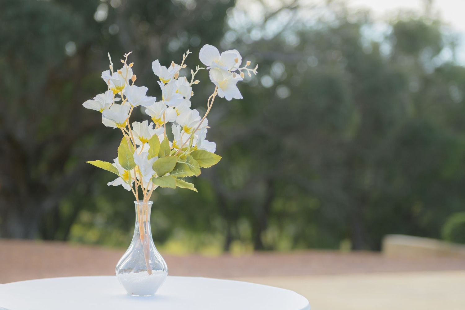 Wedding venue photographed with natural light, showcasing ceremony space and architectural details.