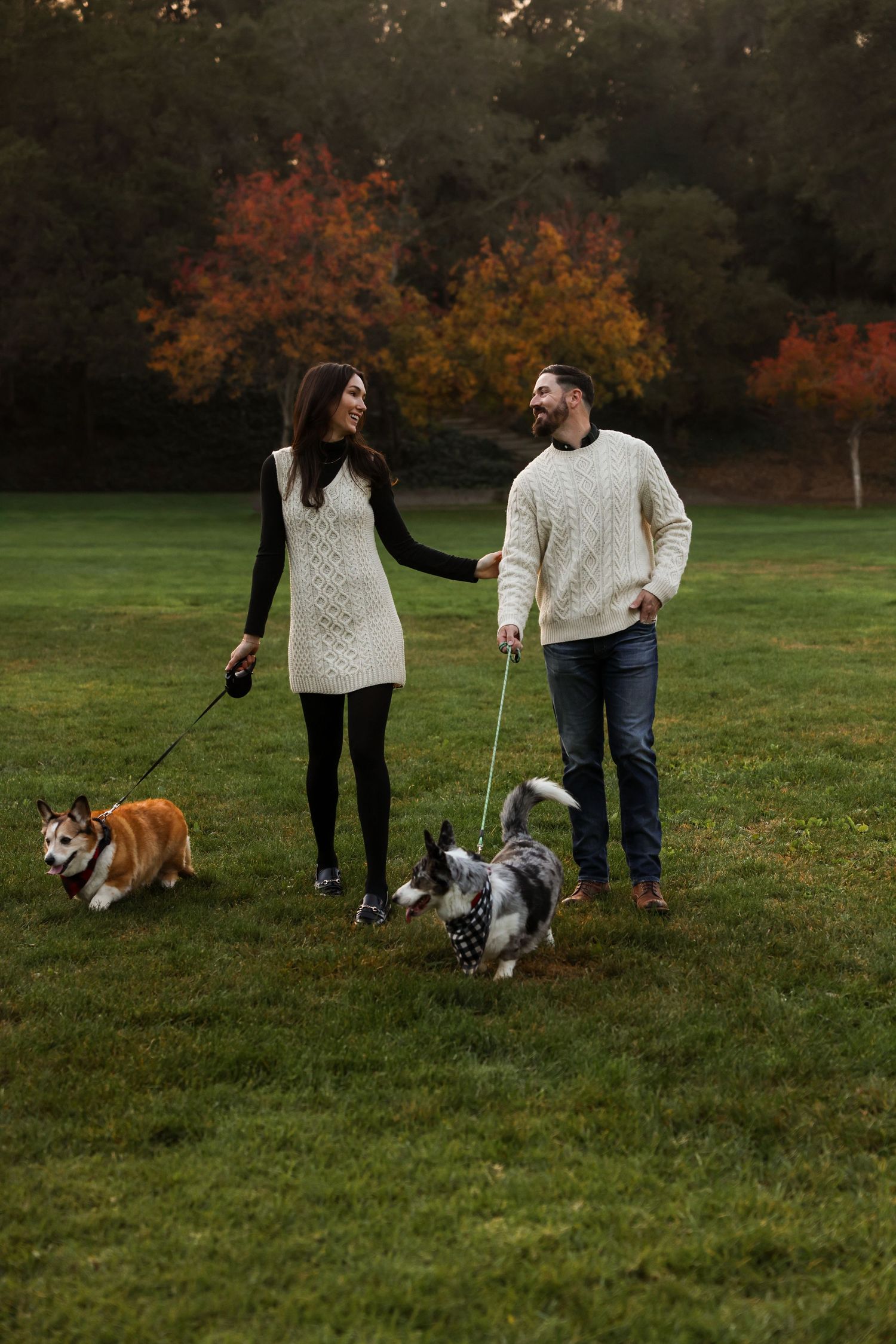 Happy couple in white sweaters walk two Corgis on leashes through a park with colorful autumn foliage.