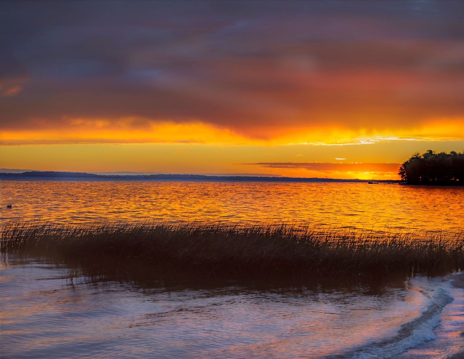 Stunning sunset over calm lake waters with vibrant orange and red sky reflecting on gentle waves and marsh grasses.