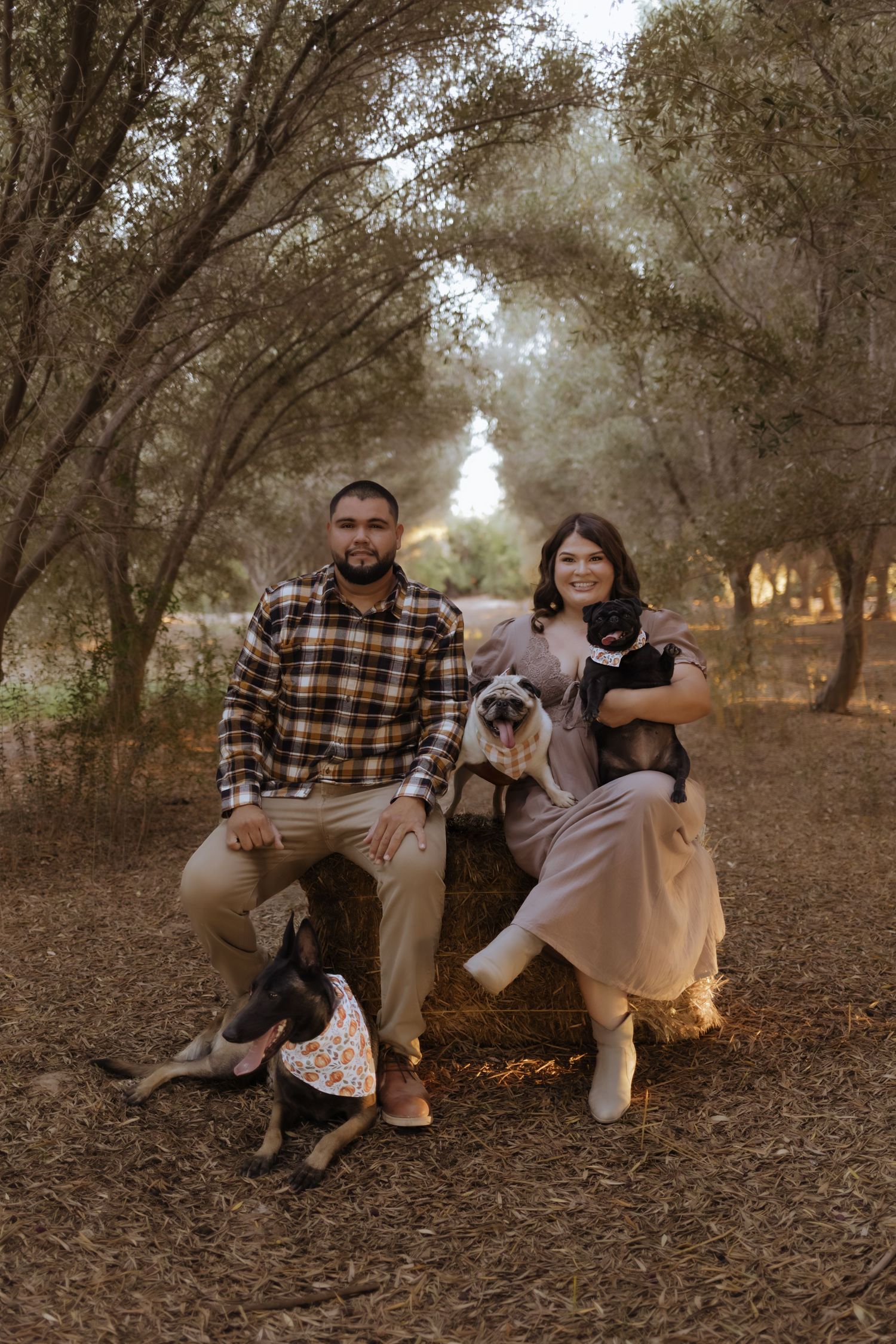 Smiling couple sitting on hay bale with three dogs in a tree-lined outdoor setting.