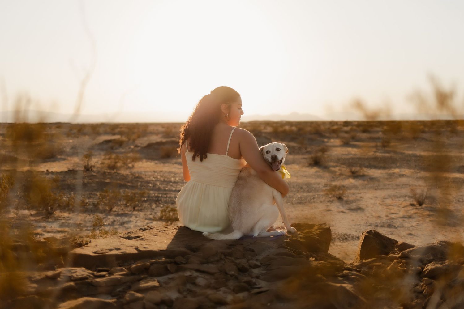 Woman sitting on rocky desert ground at sunset holding a small white dog.