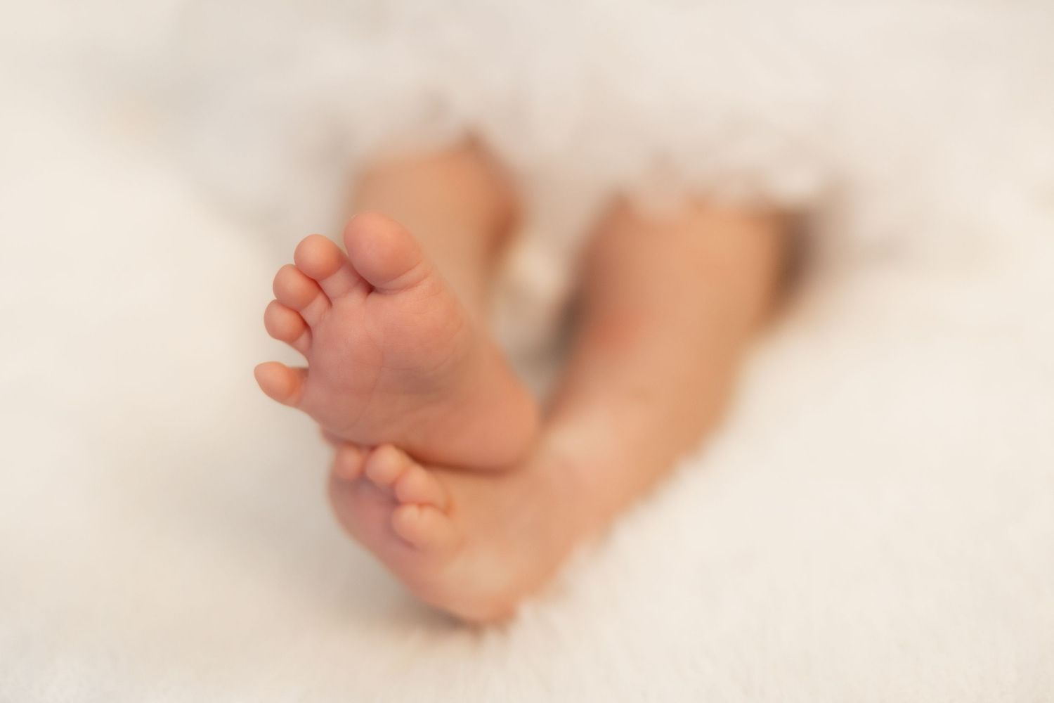 Close-up of soft, tiny newborn baby feet resting on a white fluffy blanket.