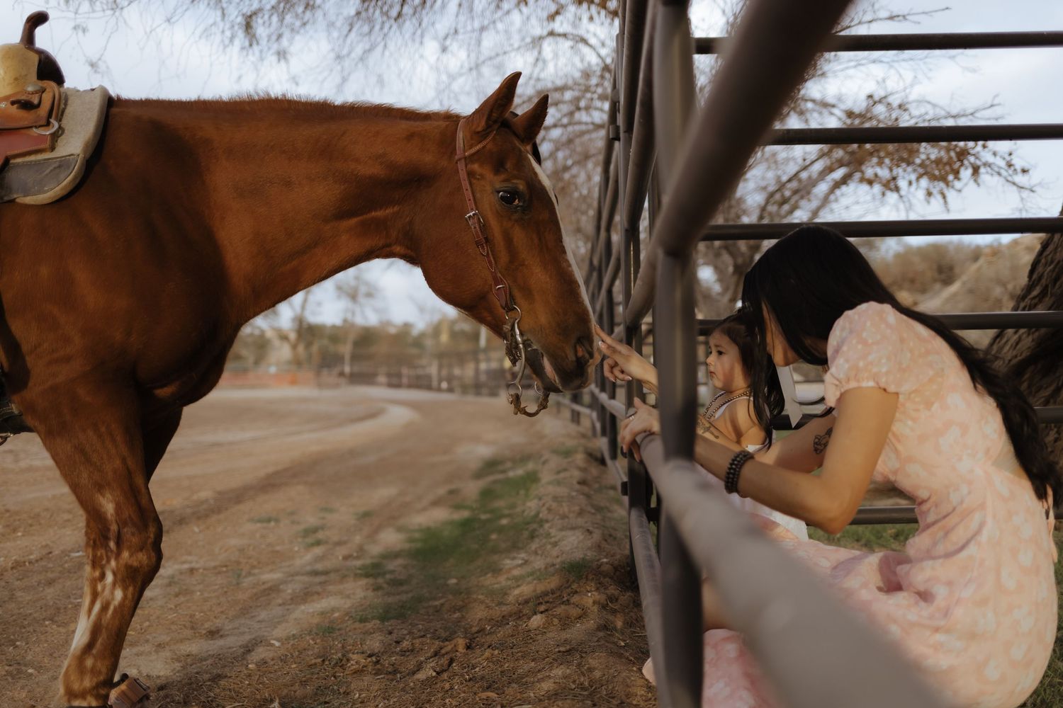 Young woman in pink dress leaning over fence to pet a chestnut horse at a ranch.