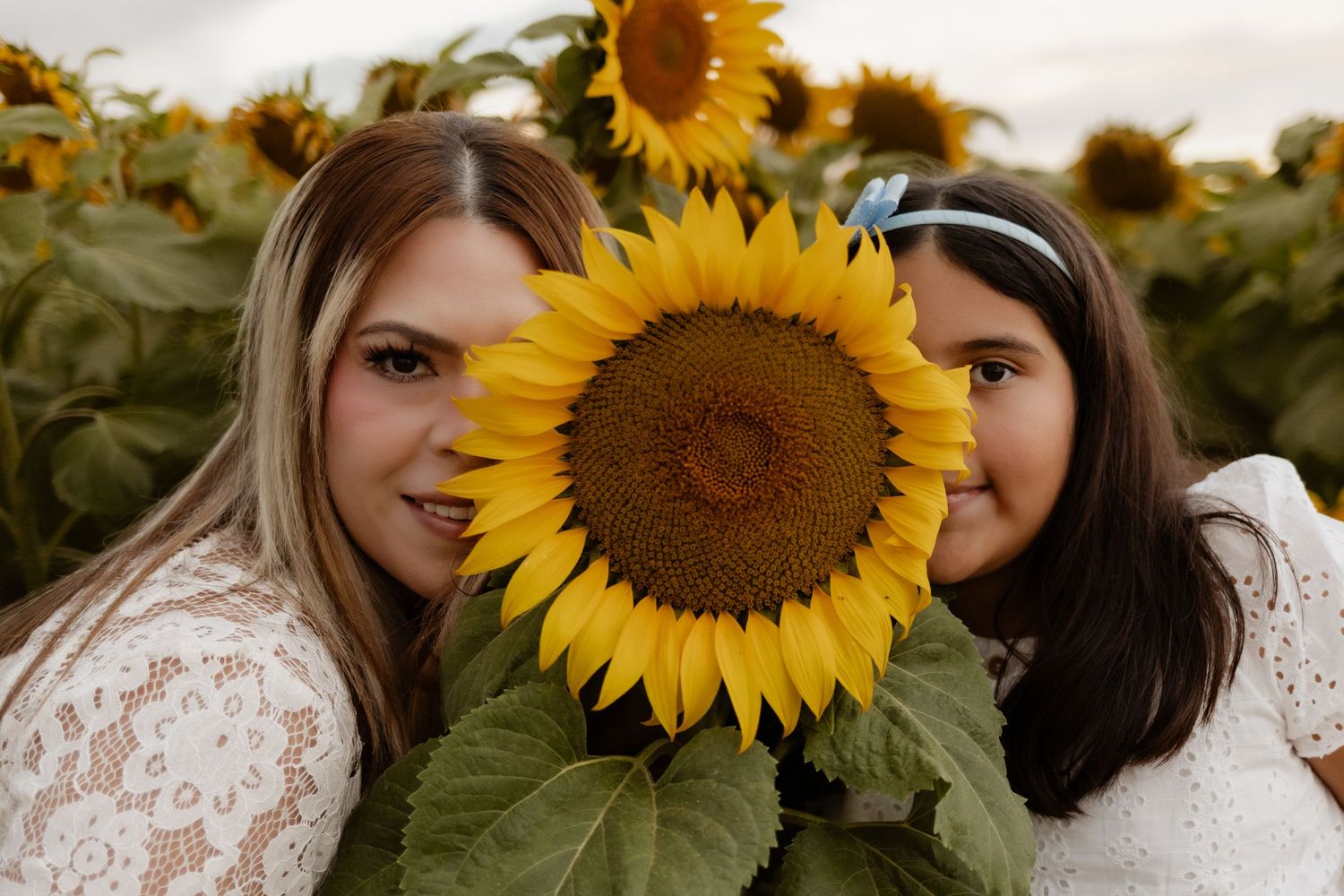 Two girls peek behind a large sunflower in a vibrant sunflower field.