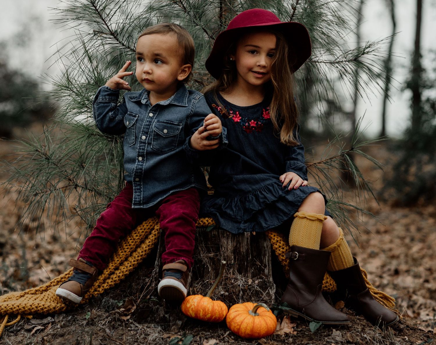 Two young children sit on a tree stump surrounded by small pumpkins in an autumn forest setting.