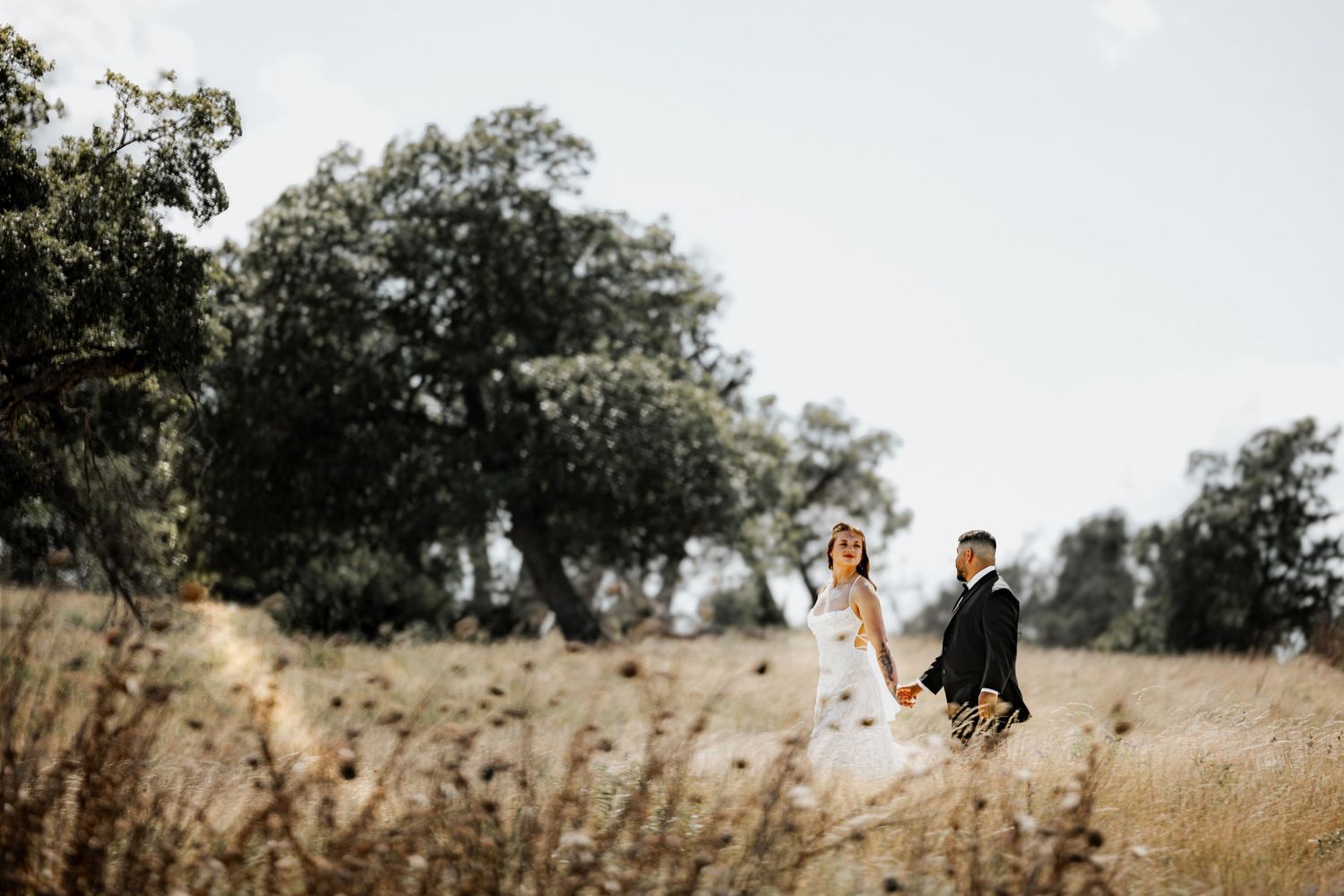 A bride and groom walk hand-in-hand through a golden meadow with lush trees in the background.