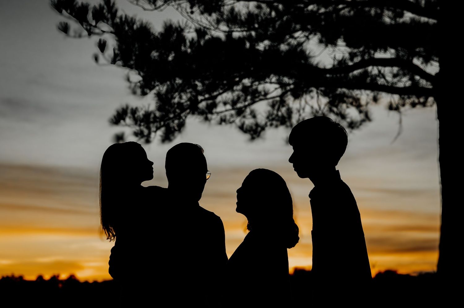 Silhouette of four family members against a stunning sunset sky near a tree.