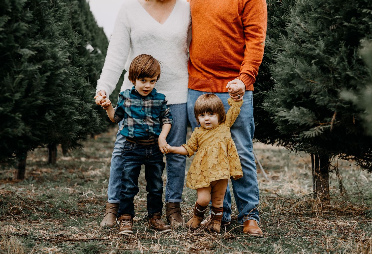 Young family with two toddlers holding hands at a Christmas tree farm.