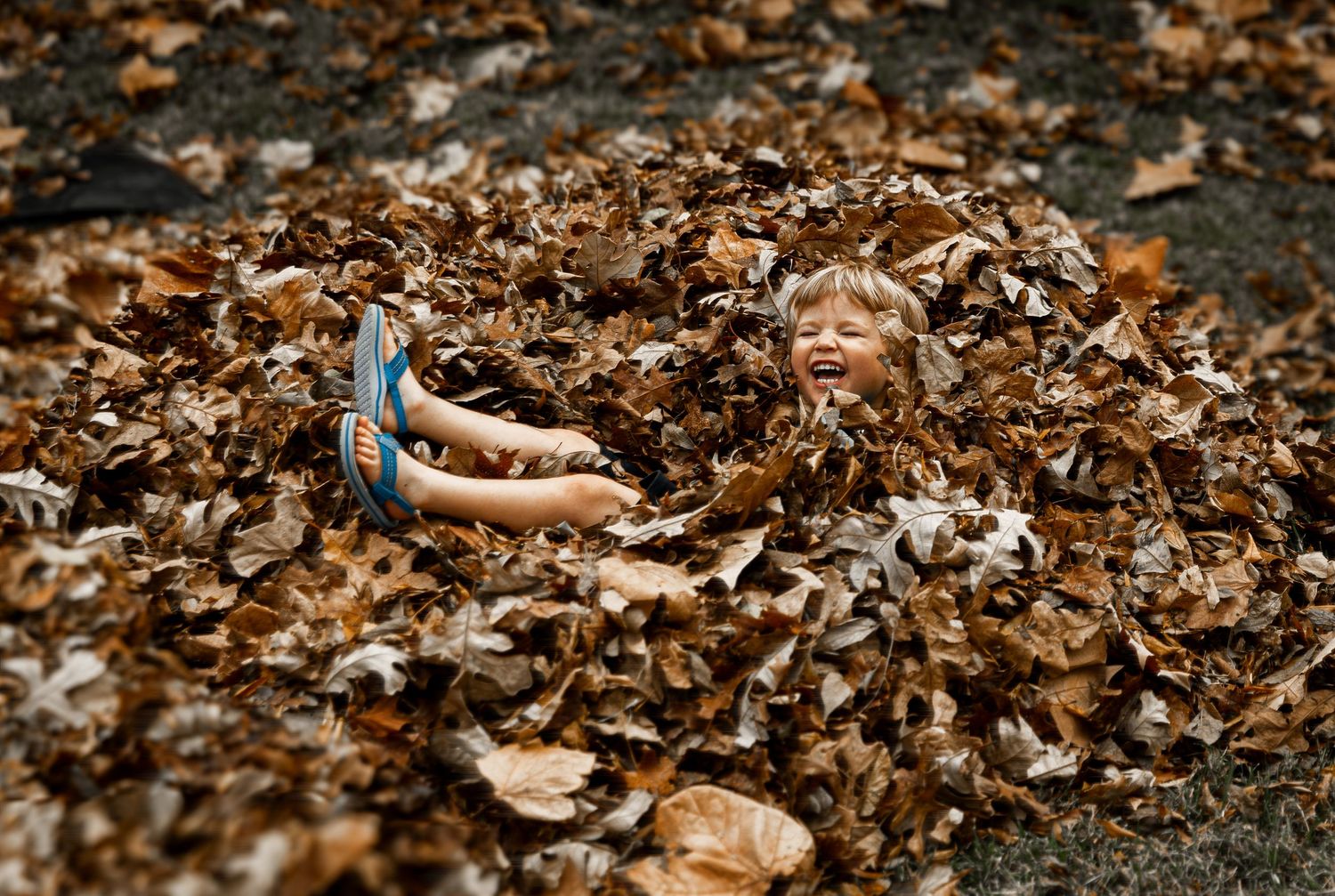 Joyful child laughing while buried in a pile of autumn leaves outdoors.