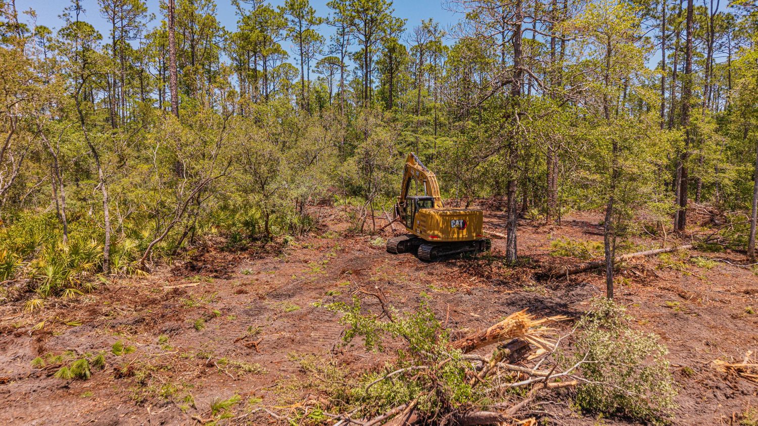 Yellow excavator clearing trees in a pine forest with red clay soil during land clearing operations.