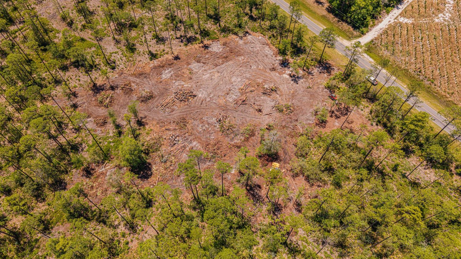 Aerial view of a cleared forest plot surrounded by pine trees and a rural road in a wooded landscape.