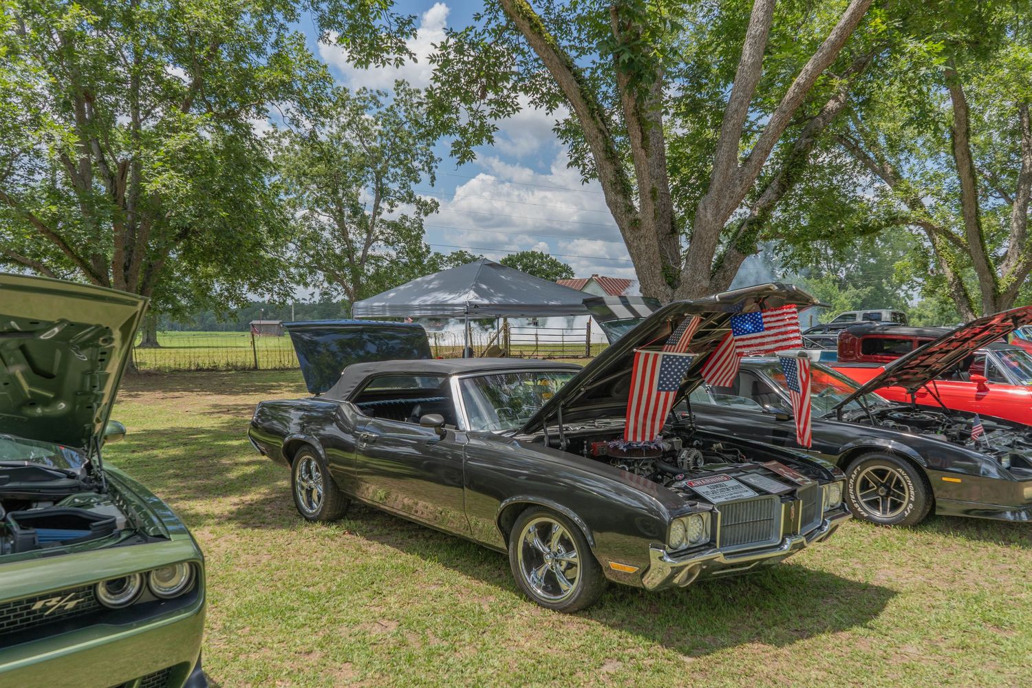 Classic black muscle car with American flags displayed at an outdoor car show under large shade trees.