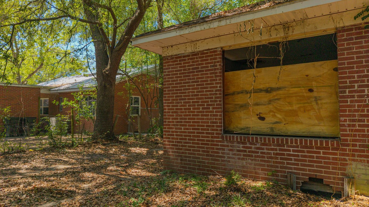 Abandoned brick house with boarded windows surrounded by overgrown trees and neglected yard.