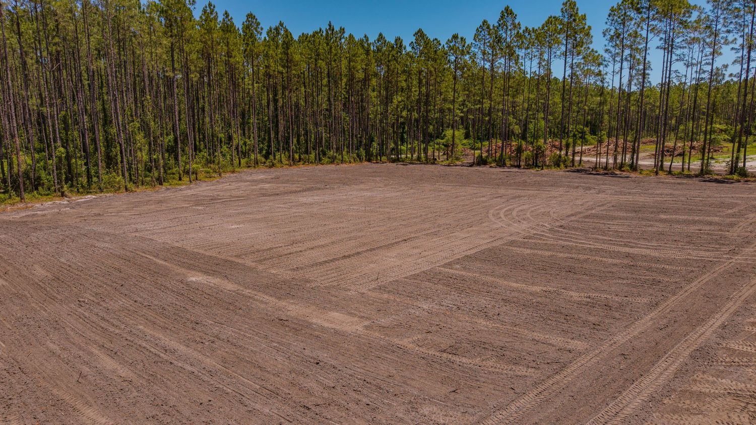 Aerial view of a cleared dirt lot surrounded by tall pine trees under a bright blue sky.