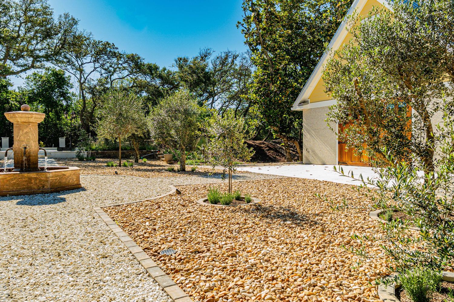 Gravel garden with olive trees, stone path, and modern white building surrounded by lush greenery under a clear blue sky.