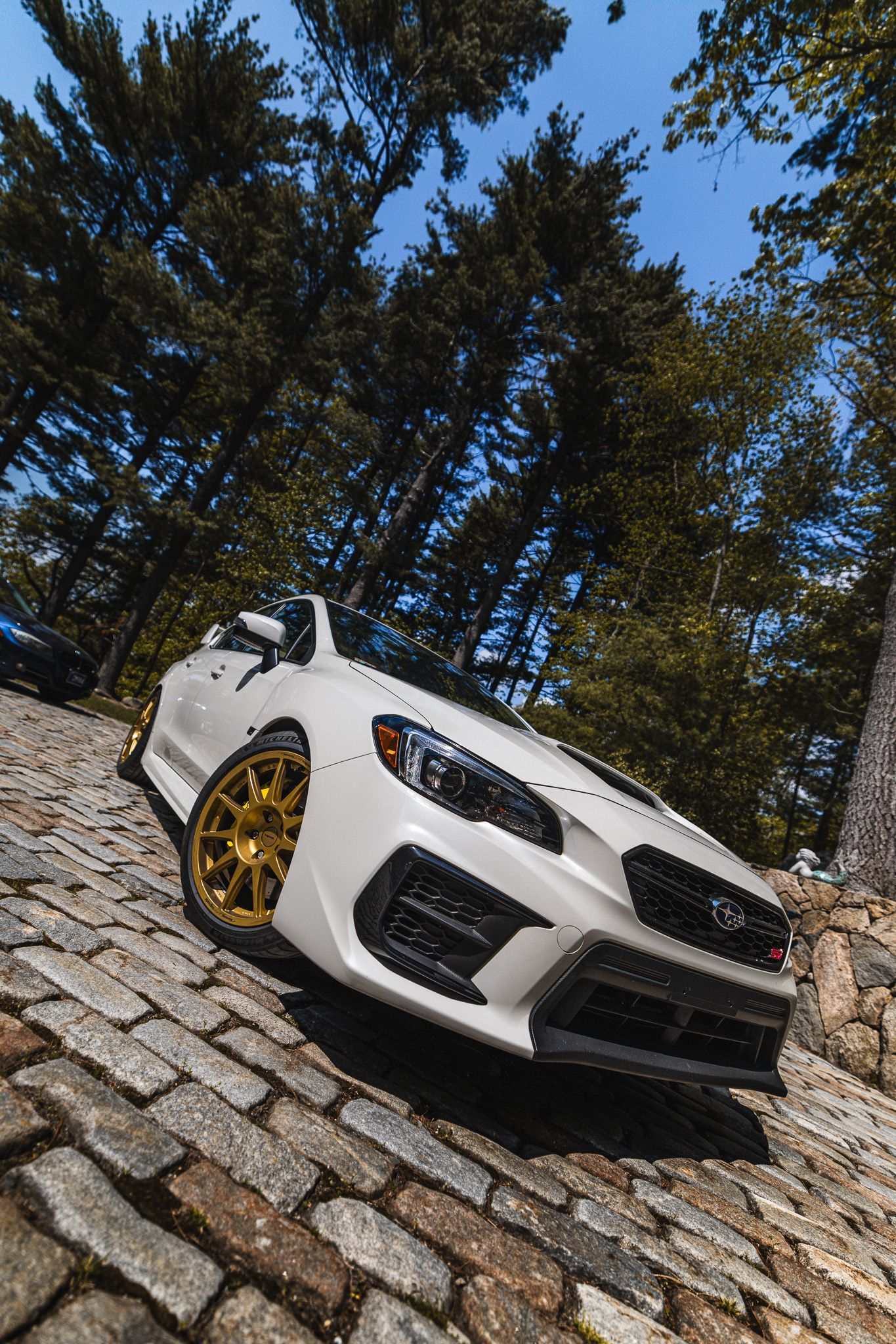 White Subaru WRX STI with gold wheels parked on cobblestone driveway surrounded by tall pine trees.