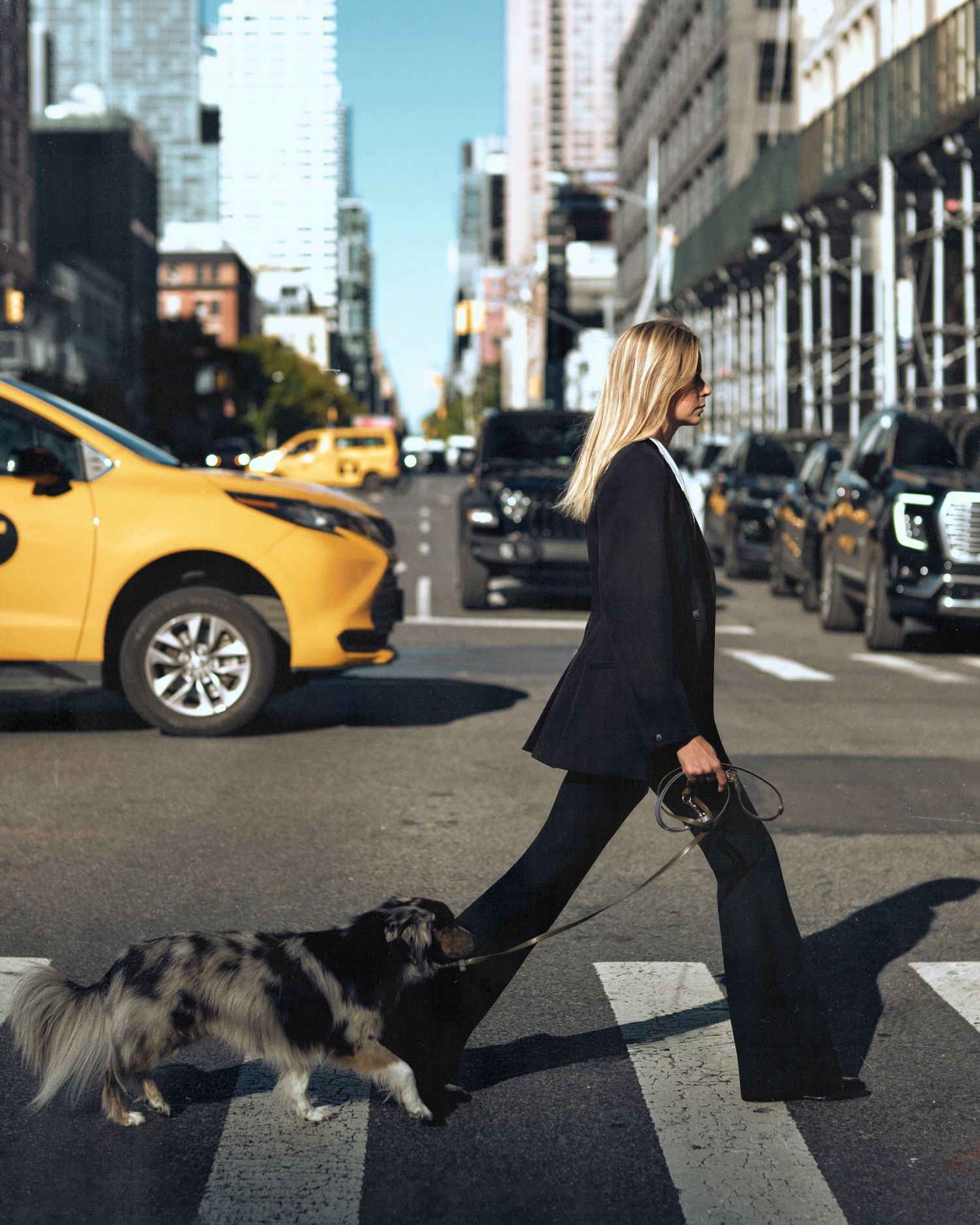 Blonde woman in black suit walking dog on NYC crosswalk with yellow taxi in background.