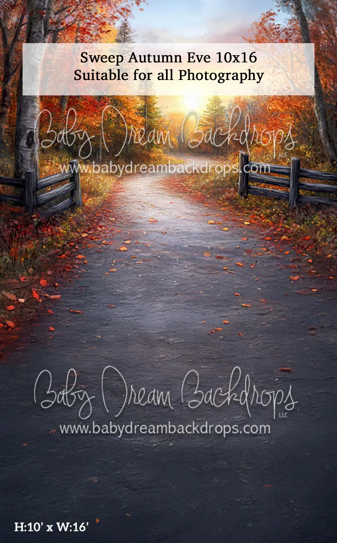 Sweep Autumn Eve 10x16 photography backdrop featuring a tree-lined road with vibrant fall foliage and warm sunlight.
