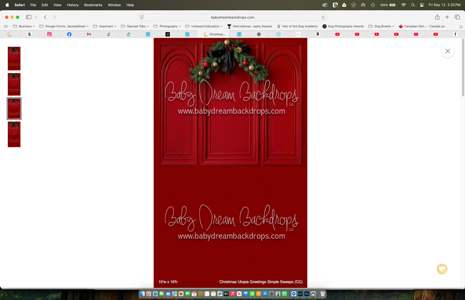 Red Christmas door backdrop with festive wreath by Baby Dream Backdrops, perfect for holiday portrait photography.