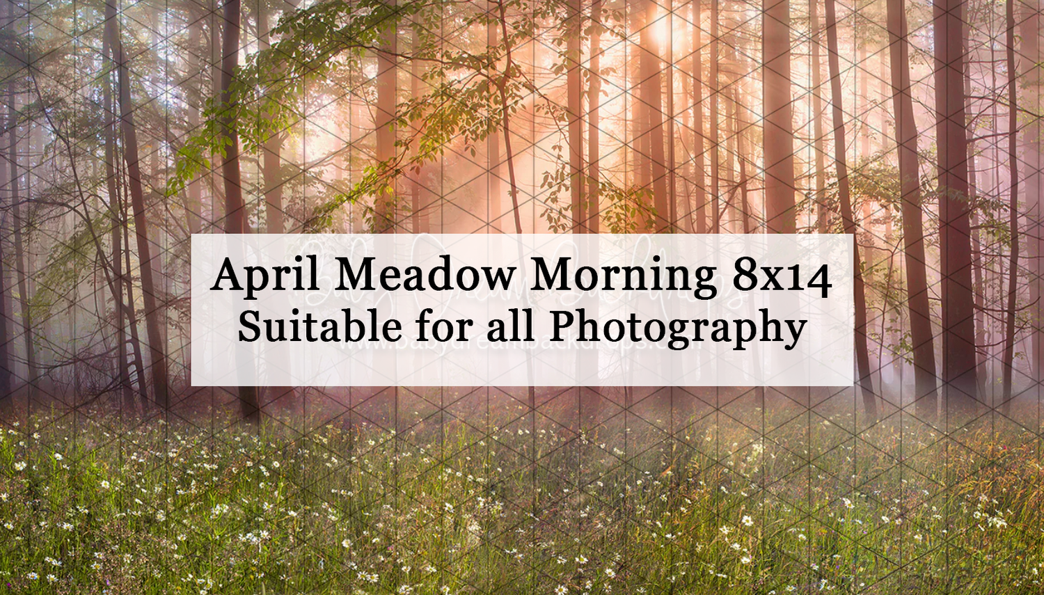 April Meadow Morning 8x14 photography backdrop featuring sunlit forest with wildflowers and misty light rays.