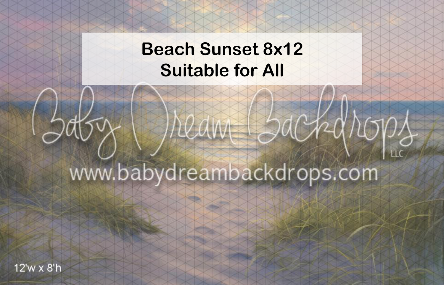 A serene beach sunset backdrop with golden dunes and grass, perfect for photography sessions.