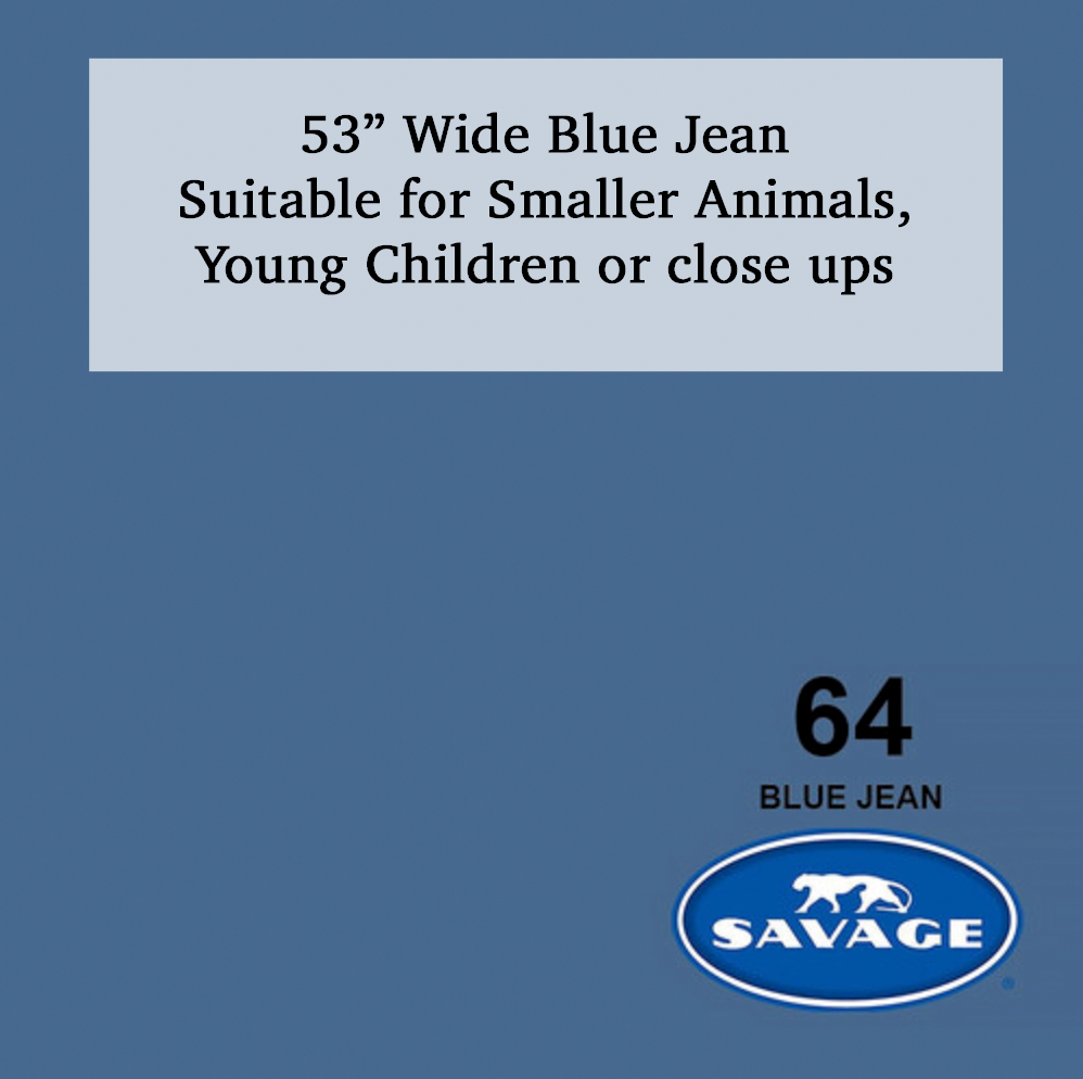 Savage 53-inch wide Blue Jean color #64 paper backdrop roll suitable for smaller animals, children, or close-up photography.